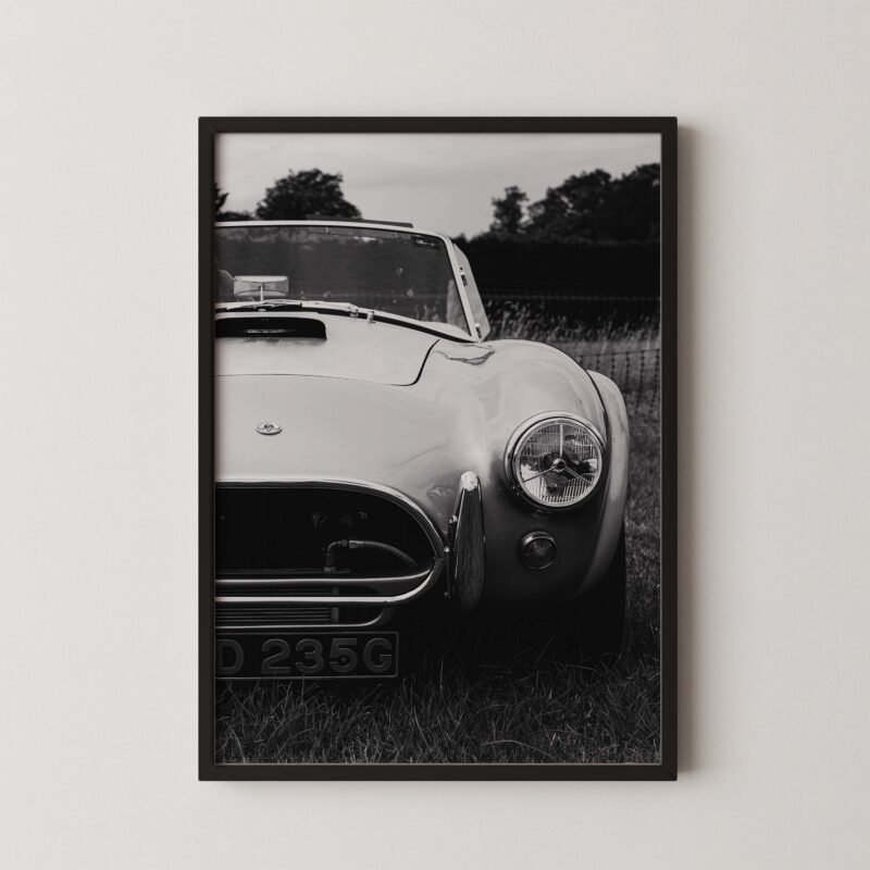 Shelby Cobra 427 Poster