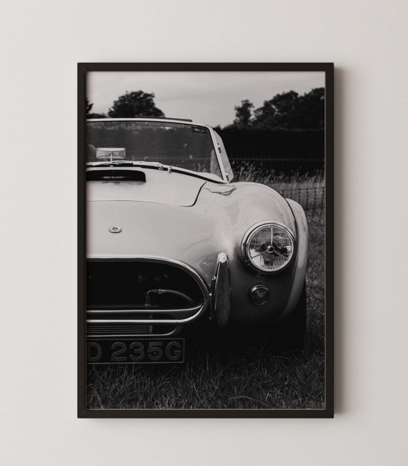 Shelby Cobra 427 Poster