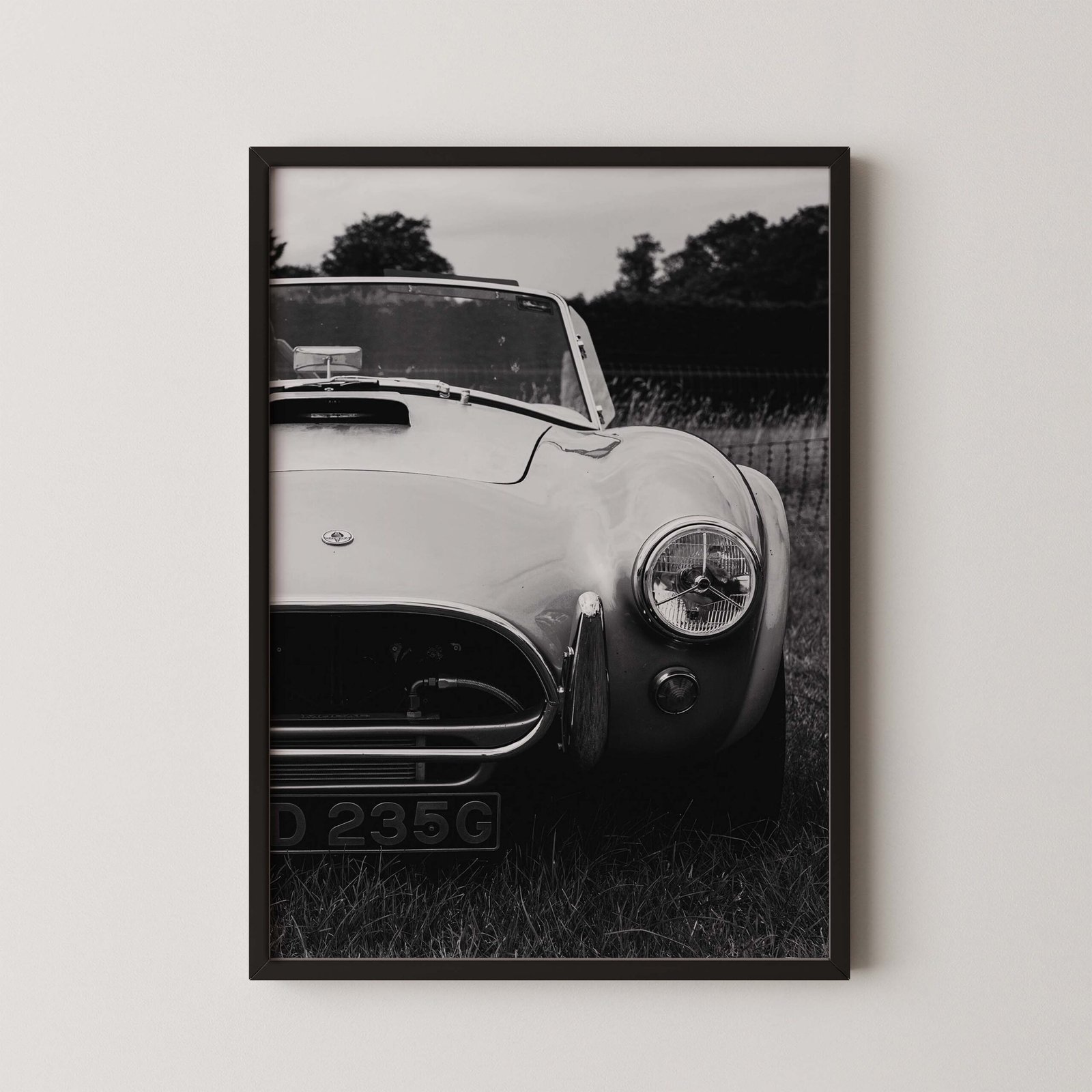Shelby Cobra 427 Poster