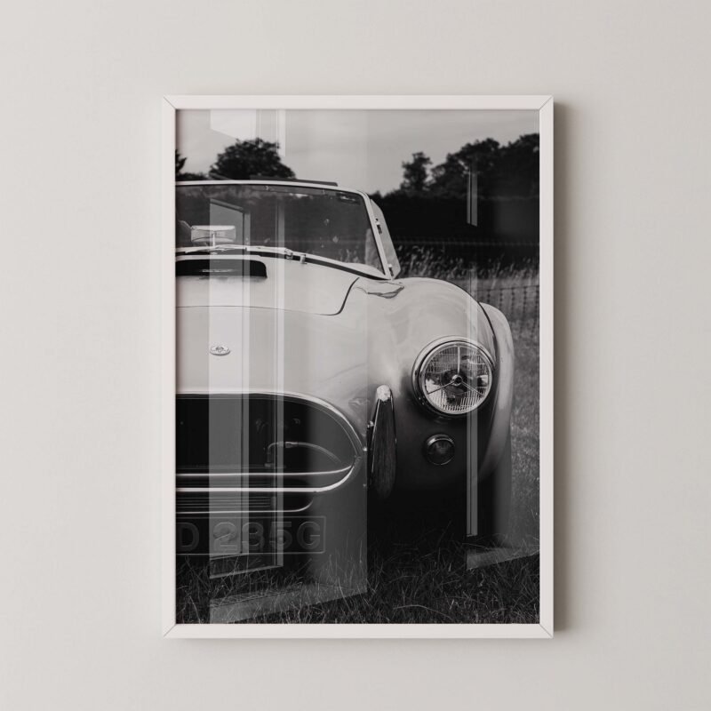 Shelby Cobra 427 Poster