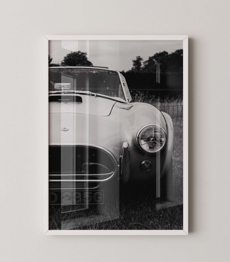 Shelby Cobra 427 Poster