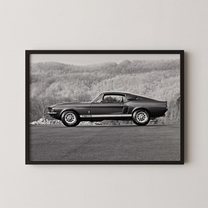 1967 Shelby Mustang GT500 Poster