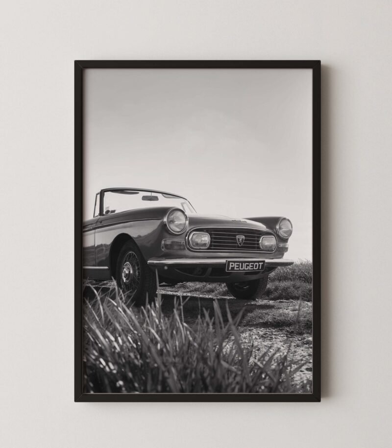 Vintage Peugeot Car Poster