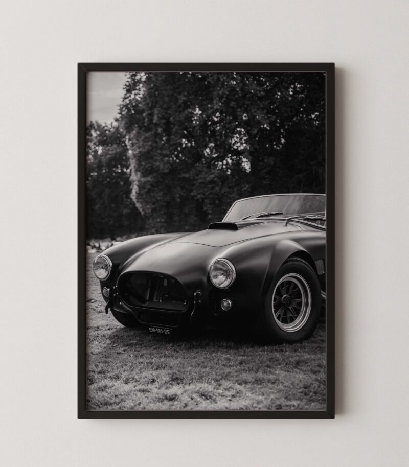 Shelby Cobra 427 Print