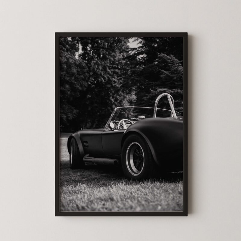 1965 Shelby Cobra Print