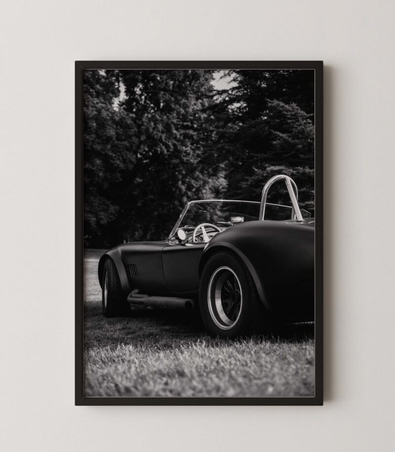 1965 Shelby Cobra Print