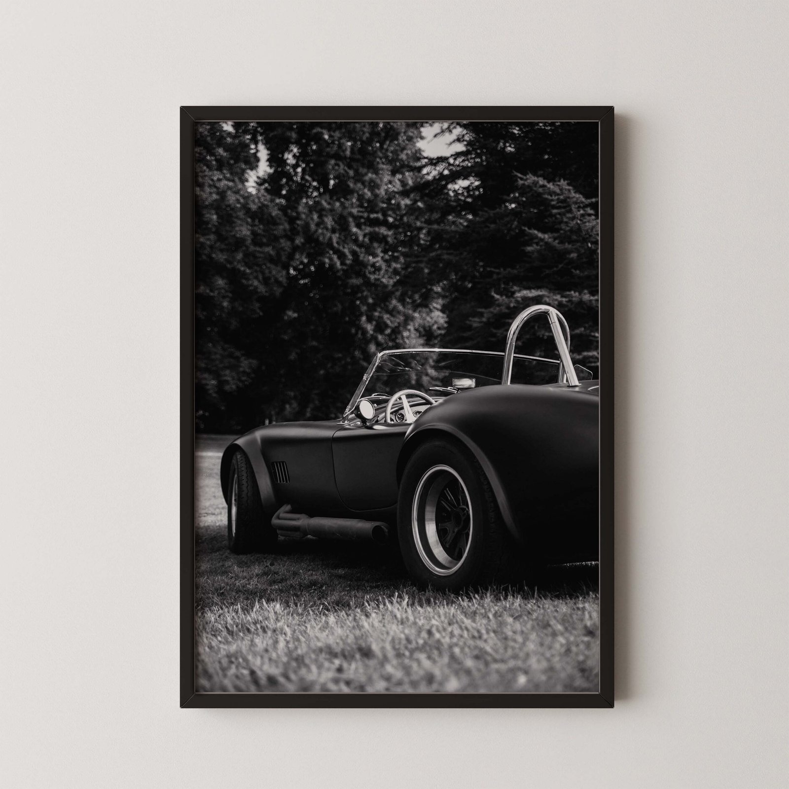 1965 Shelby Cobra Print