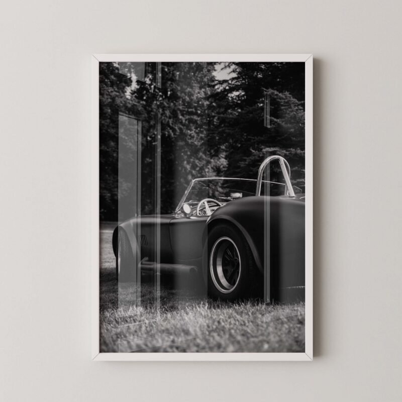 1965 Shelby Cobra Print