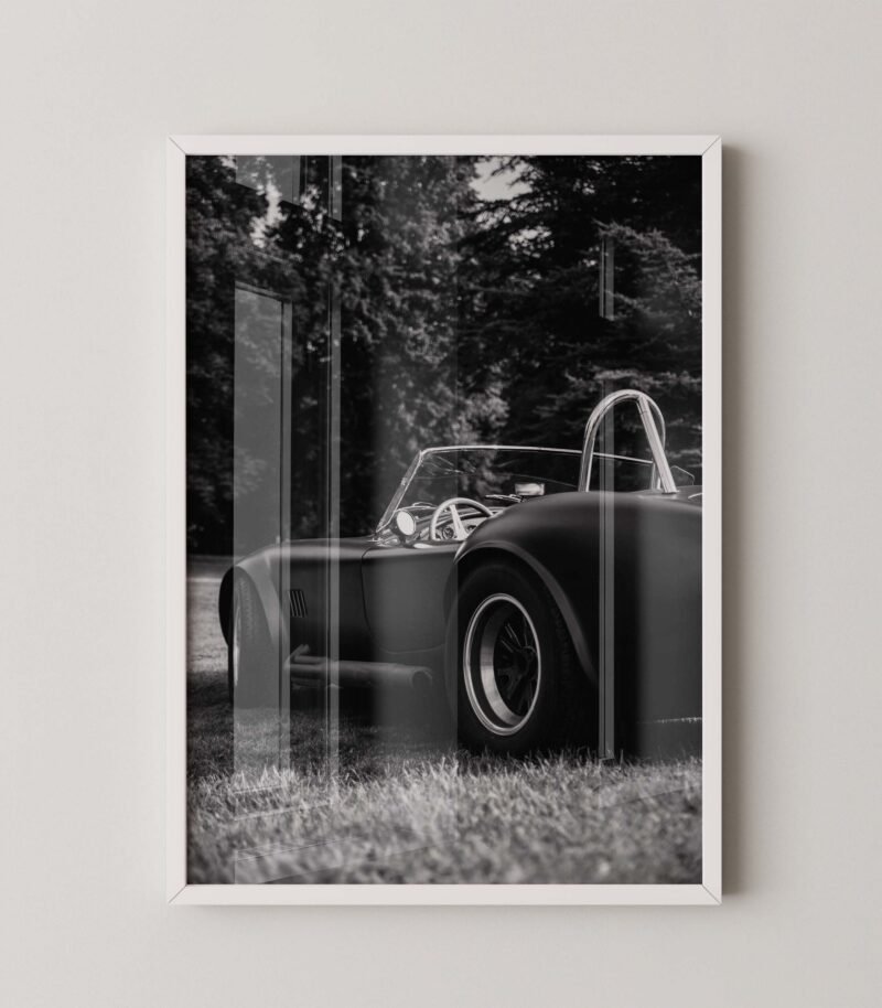 1965 Shelby Cobra Print