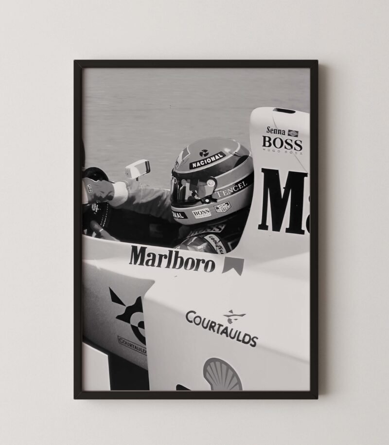 Ayrton Senna: Cockpit Perspective