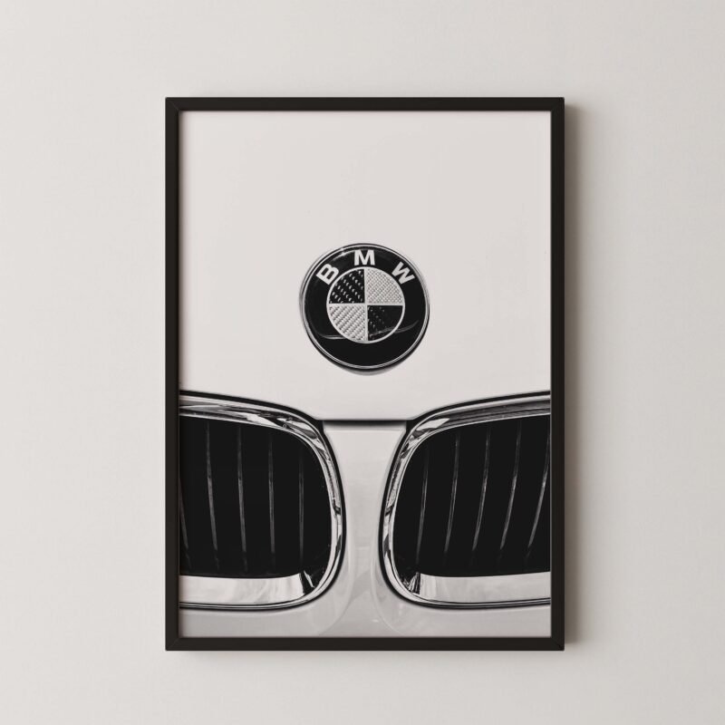 Bmw Kidney Grille Print