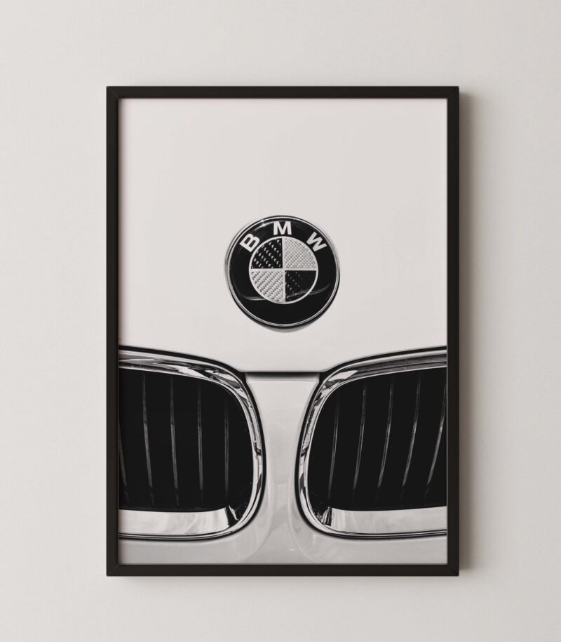 Bmw Kidney Grille Print
