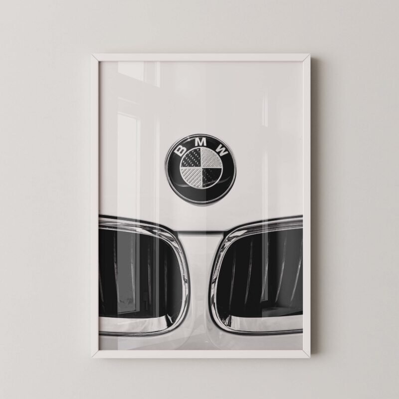 Bmw Kidney Grille Print