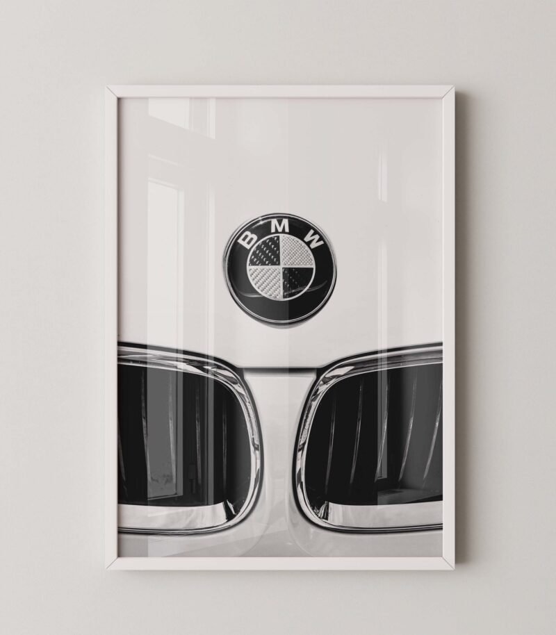Bmw Kidney Grille Print