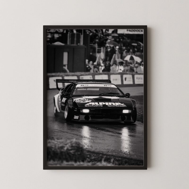 BMW M1 Procar Racing Poster