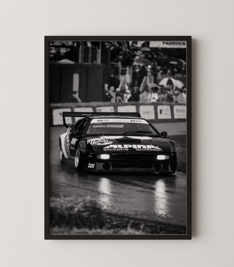 BMW M1 Procar Racing Poster