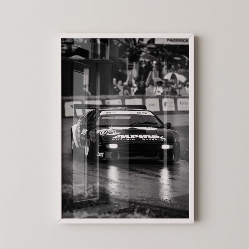 BMW M1 Procar Racing Poster