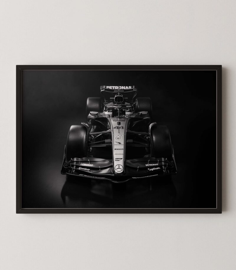 Mercedes W14 Digital Print