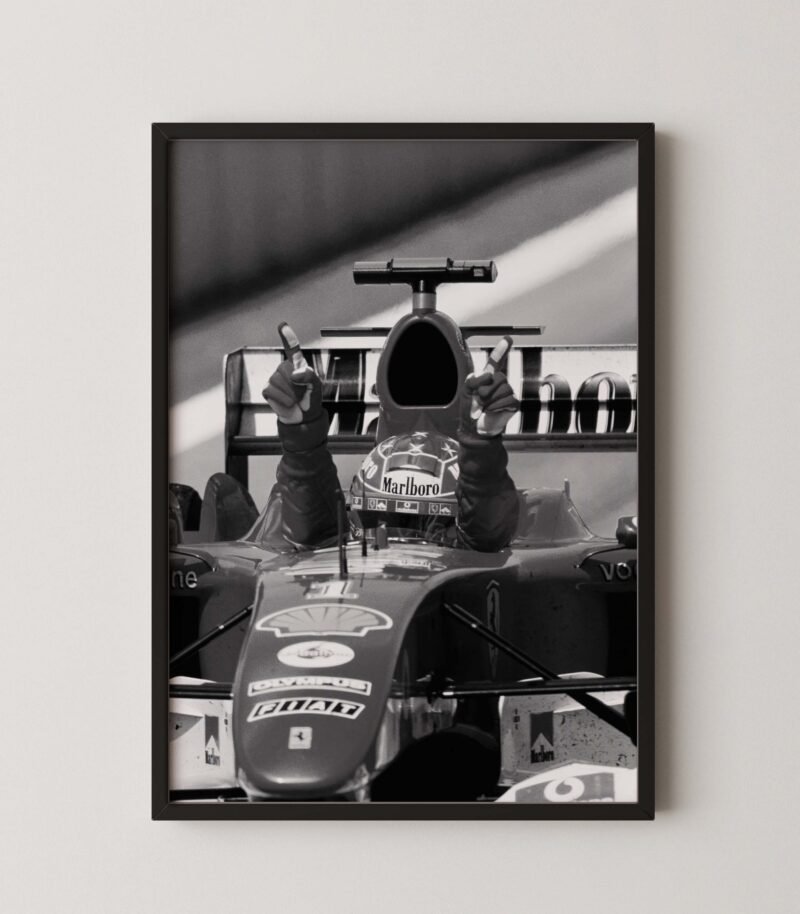Michael Schumacher Race Victory