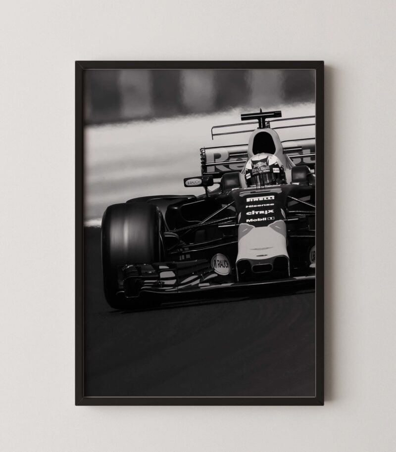 F1 Red Bull Racing Daniel Ricciardo