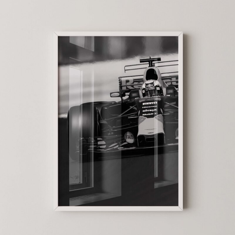 F1 Red Bull Racing Daniel Ricciardo