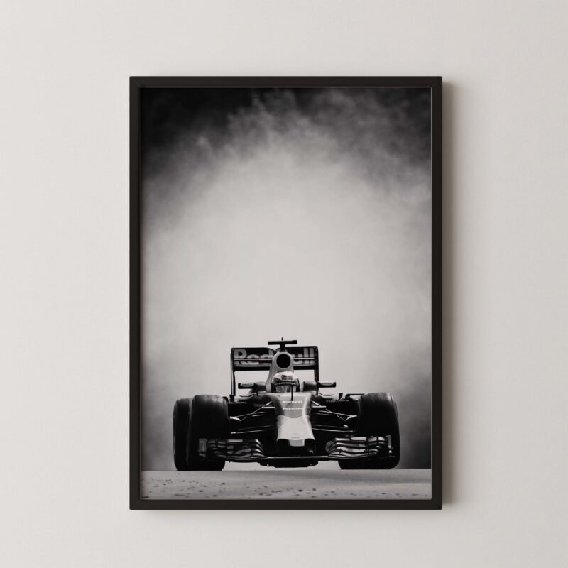 Daniel Ricciardo F1 Red Bull
