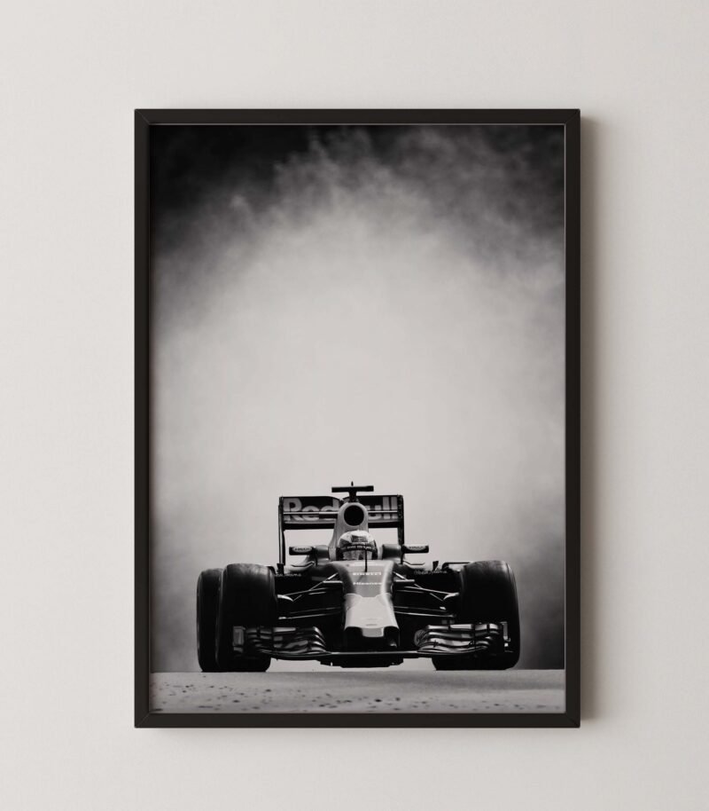 Daniel Ricciardo F1 Red Bull