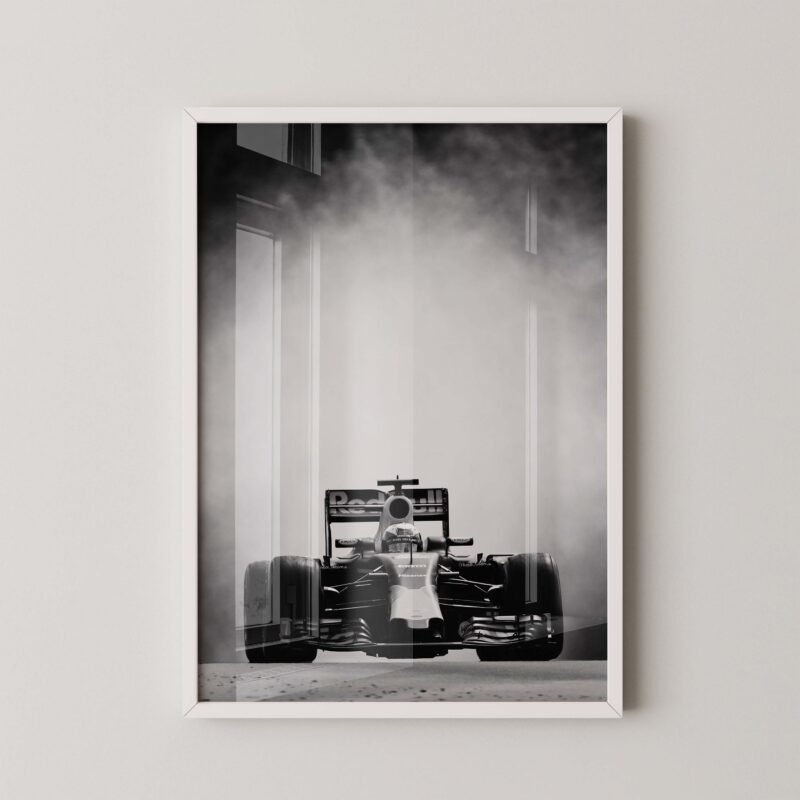 Daniel Ricciardo F1 Red Bull