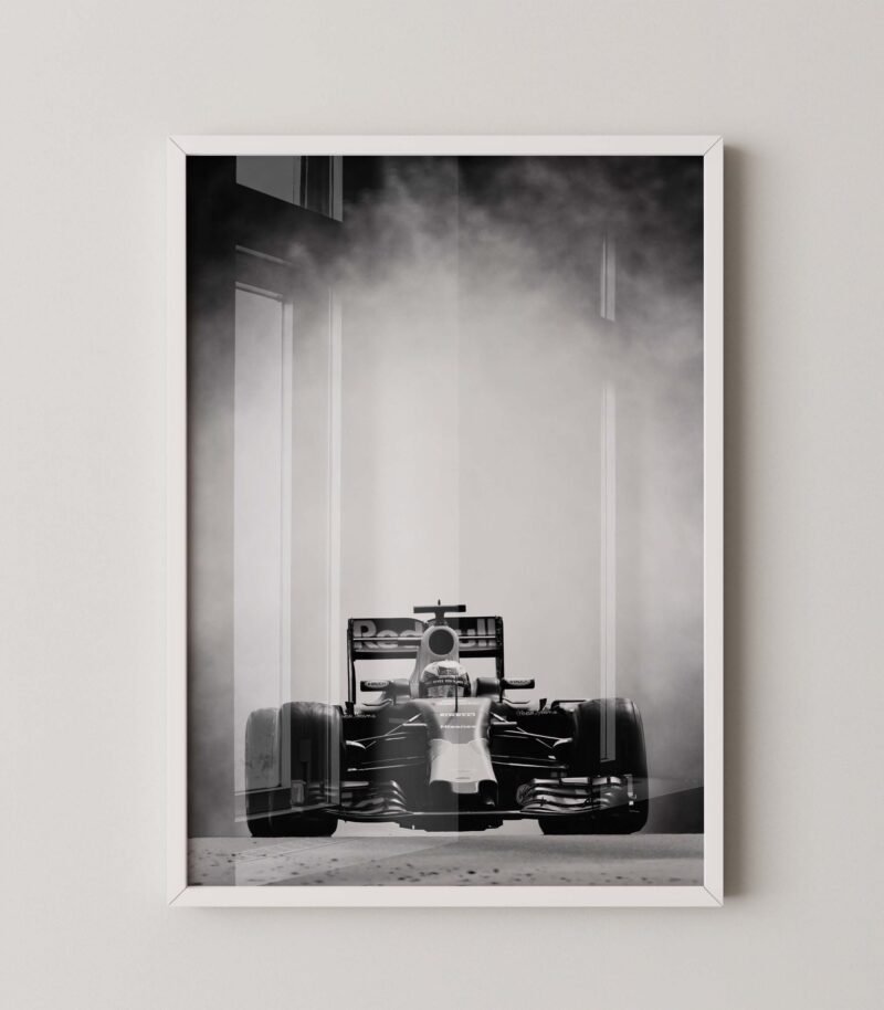 Daniel Ricciardo F1 Red Bull