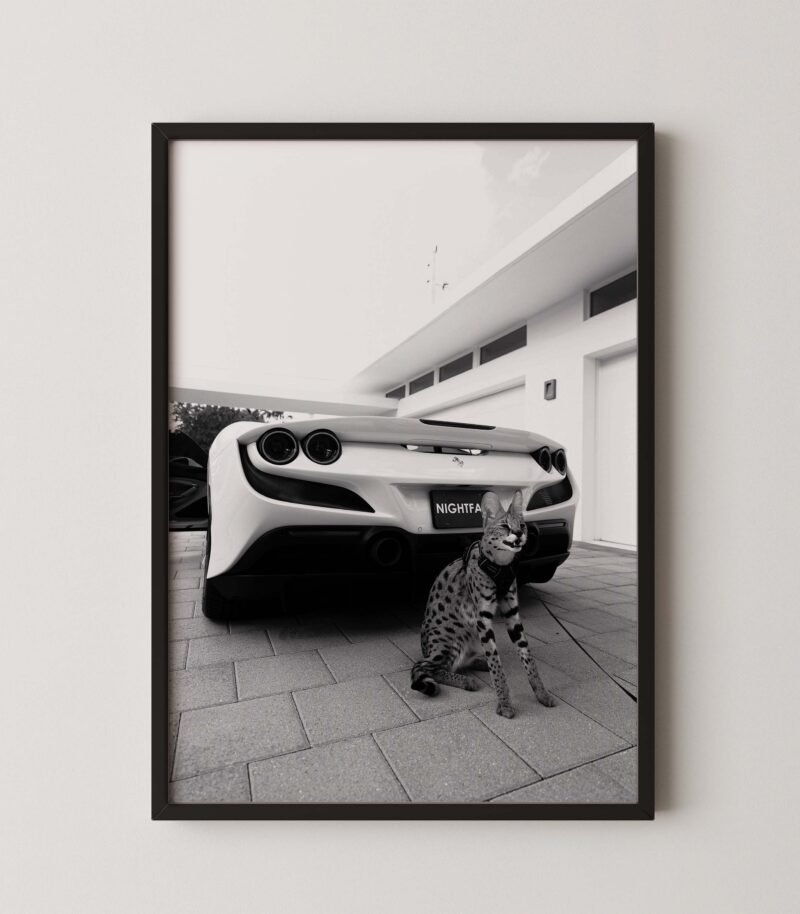 Ferrari Exotic Luxury Lifestyle Print