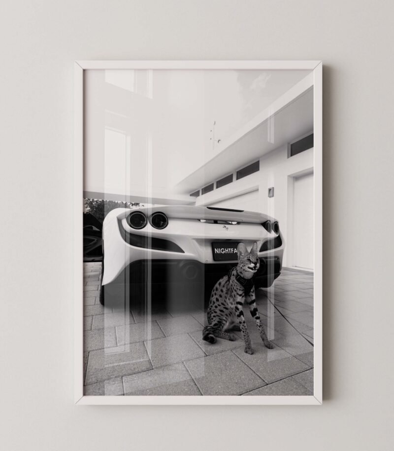 Ferrari Exotic Luxury Lifestyle Print