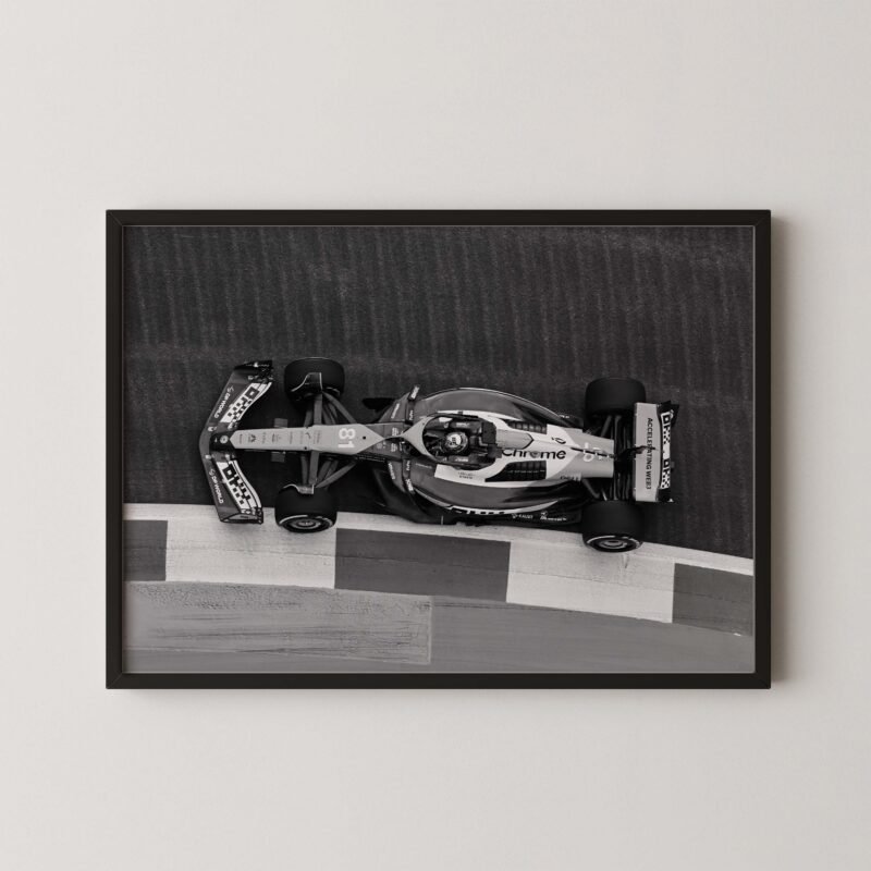 Oscar Piastri F1 Car Top View