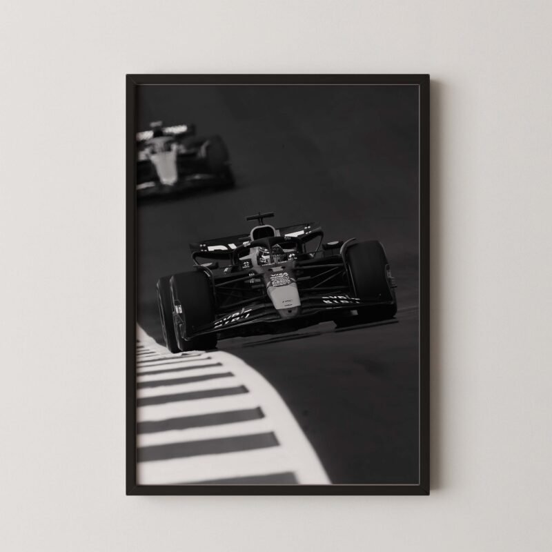 Max Verstappen Red Bull RB20