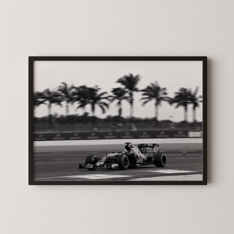 Daniel Ricciardo F1 Red Bull Racing