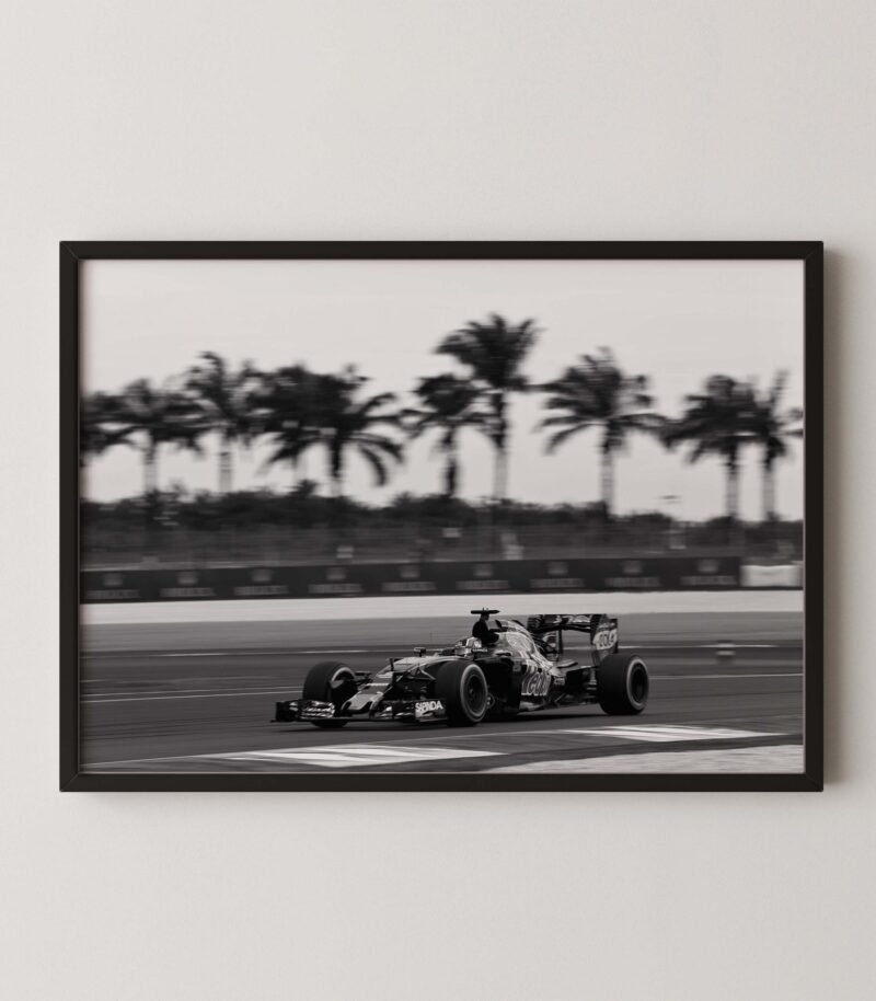 Daniel Ricciardo F1 Red Bull Racing