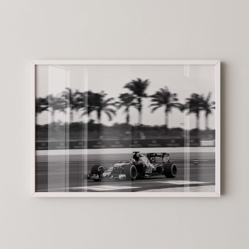 Daniel Ricciardo F1 Red Bull Racing