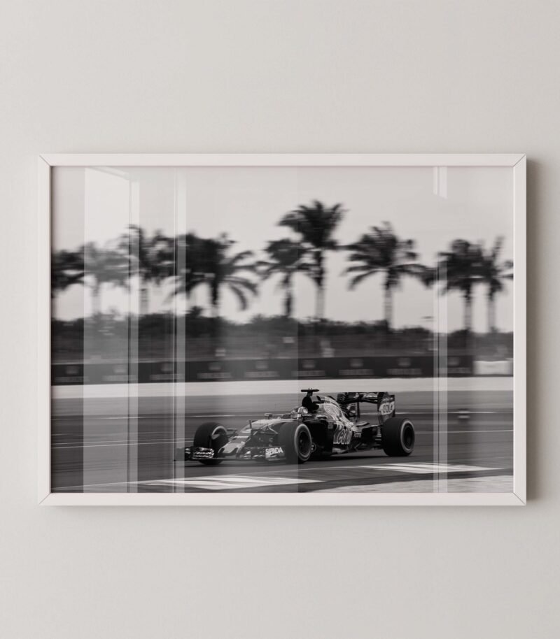 Daniel Ricciardo F1 Red Bull Racing