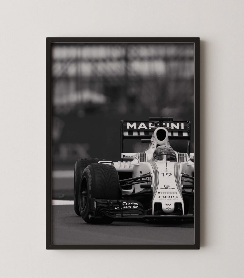 F1 Williams FW38 Print