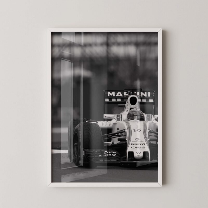 F1 Williams FW38 Print