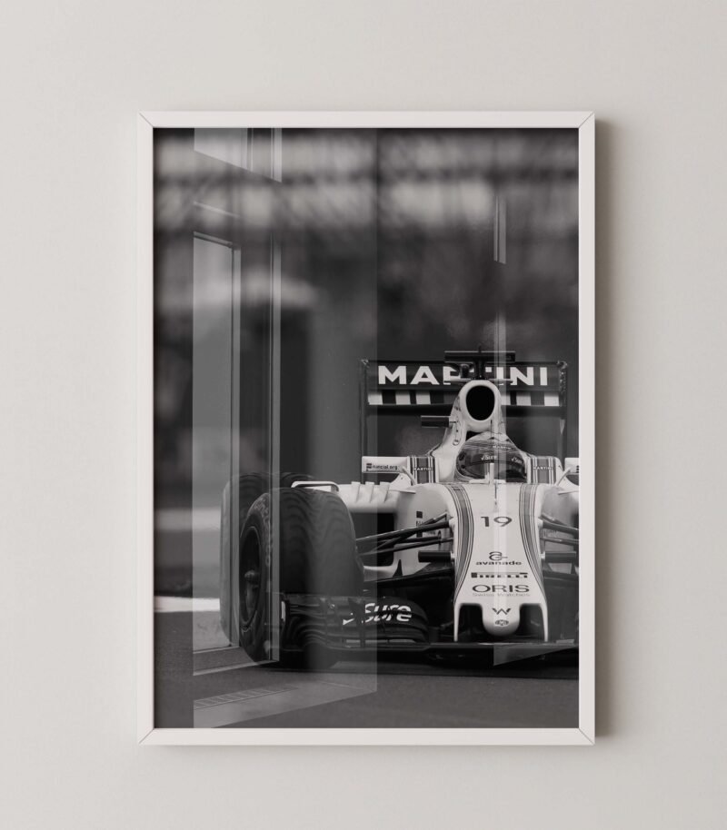 F1 Williams FW38 Print