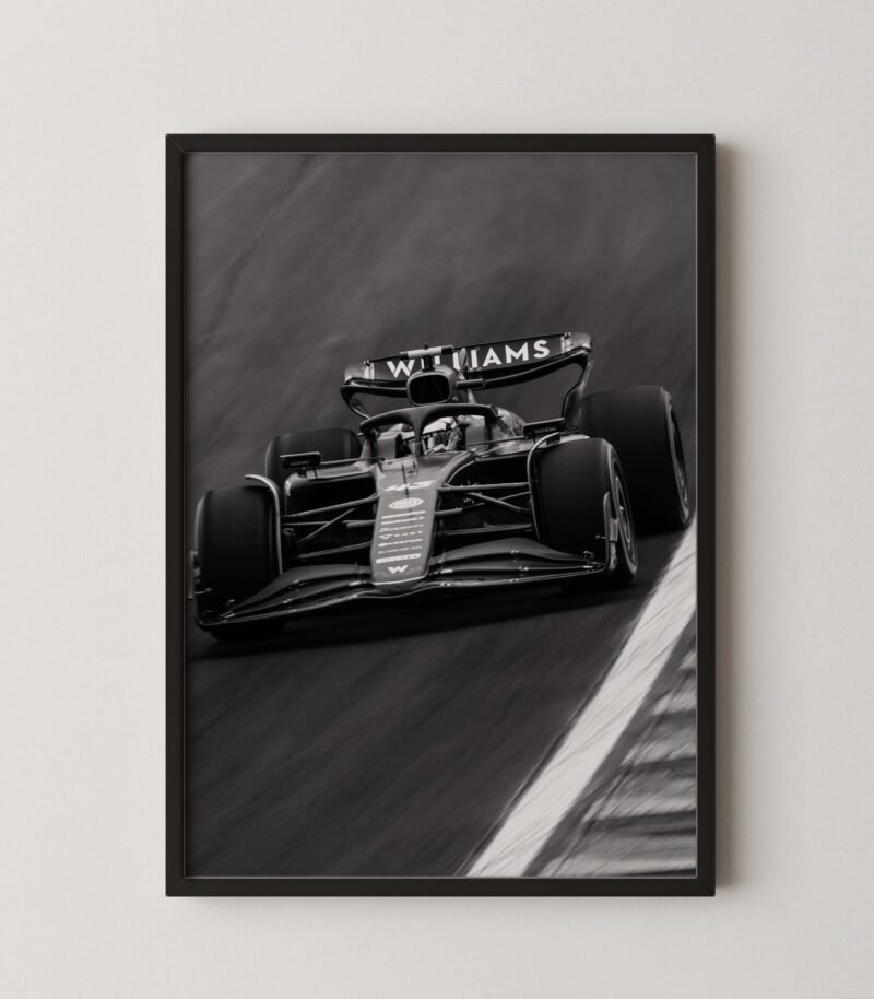 F1 Williams Racing Franco Colapinto