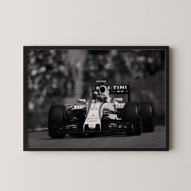 Formula 1 Williams Martini Poster