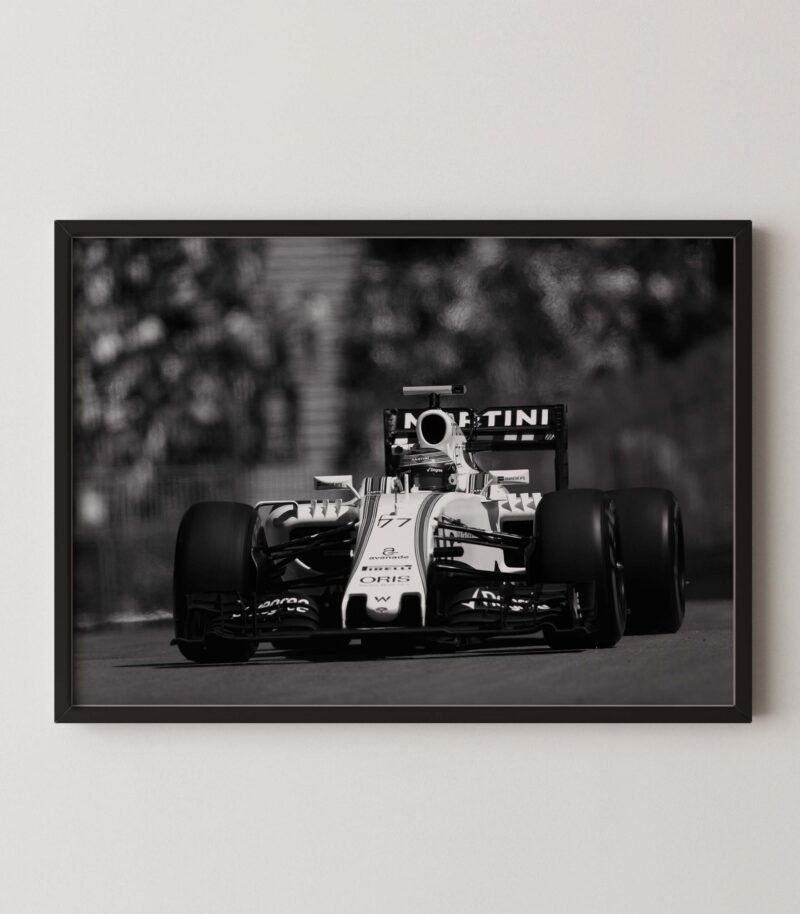 Formula 1 Williams Martini Poster