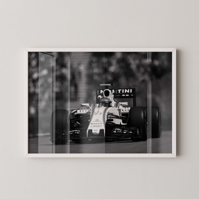 Formula 1 Williams Martini Poster