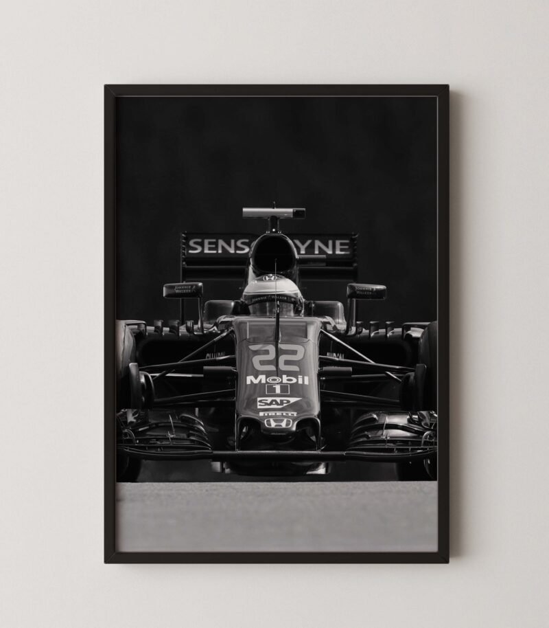 F1 Mclaren Jenson Button Print