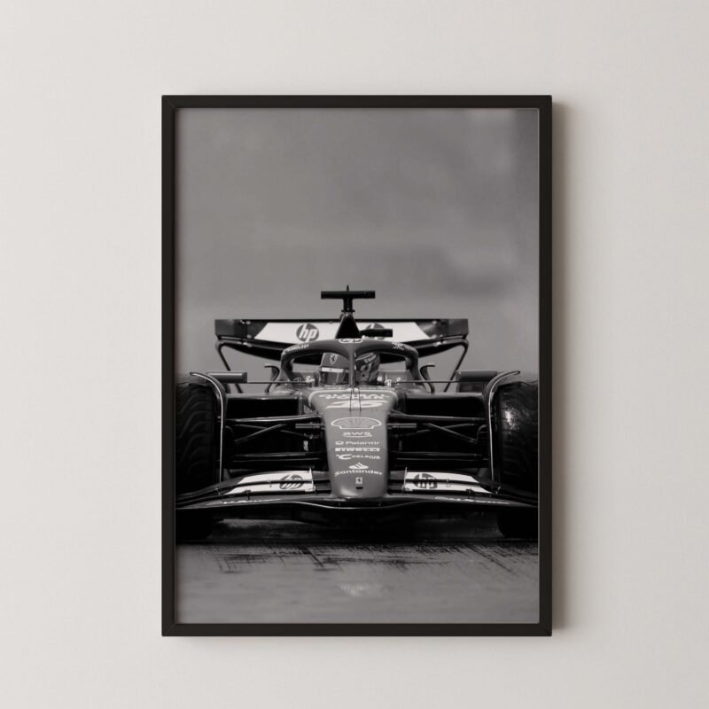 F1 Ferrari Race Track Print