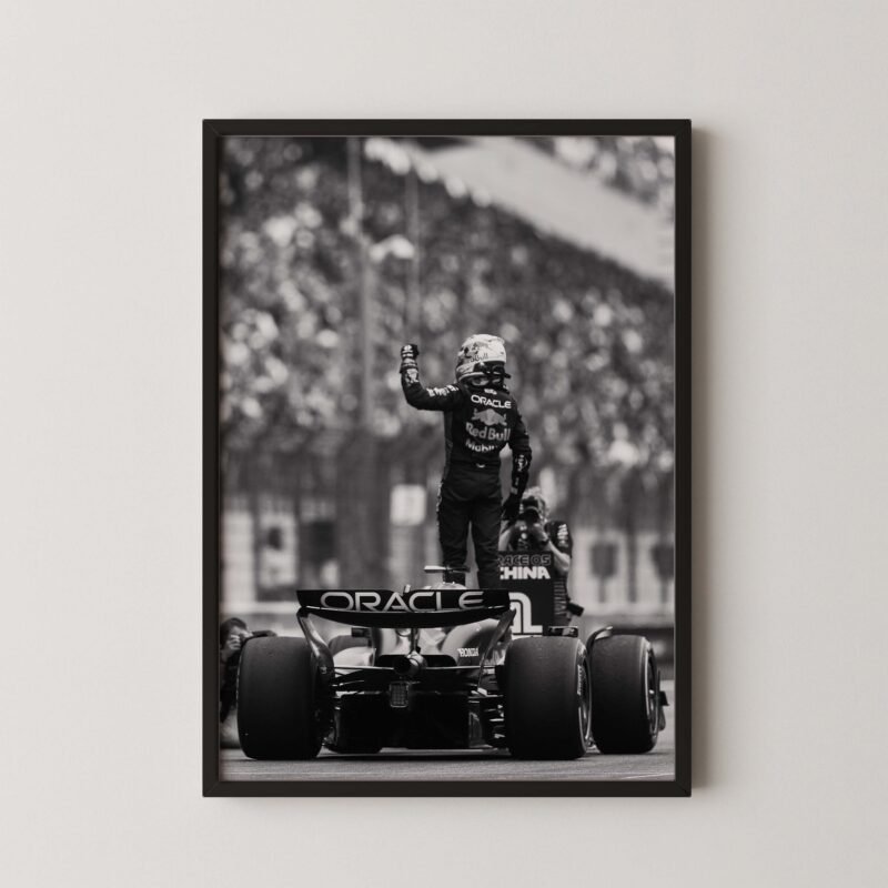Max Verstappen Victory Print