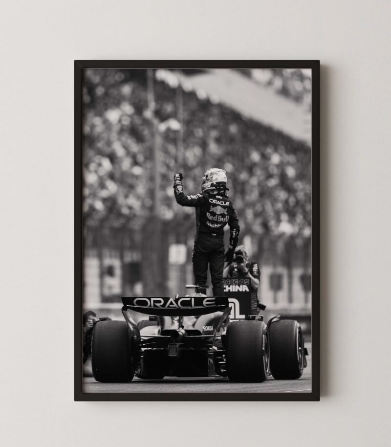 Max Verstappen Victory Print