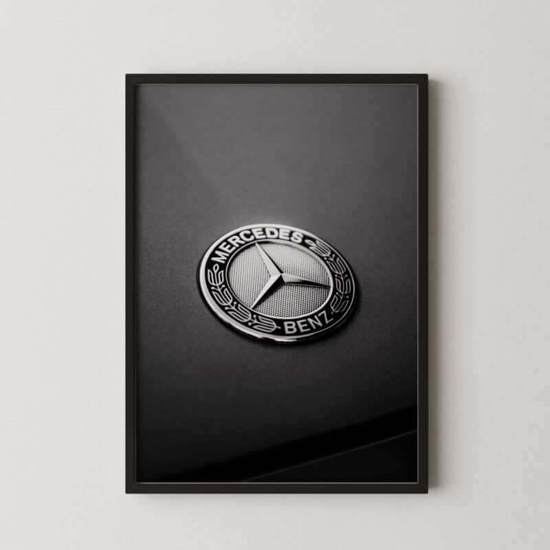 Mercedes Logo Print