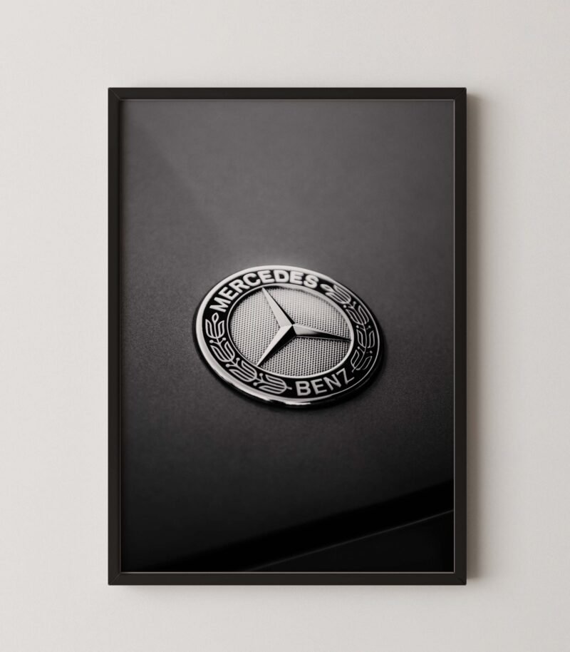 Mercedes Logo Print